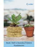 Mini Çiçek Saksı Küçük Sukulent Altın Kaktüs Saksısı Çiçekli Fiyonklu Model